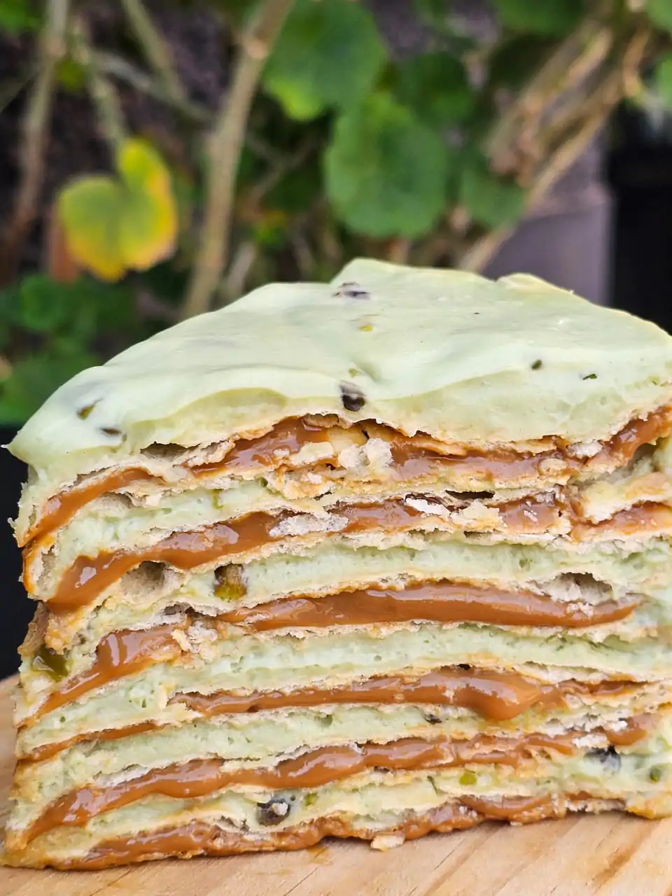 Pompadour Pistacho - Imagen 2